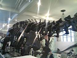 IMG_20120122_142733.jpg
