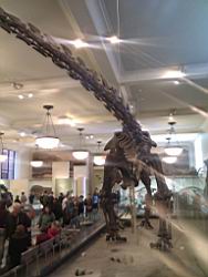 IMG_20120122_142930.jpg