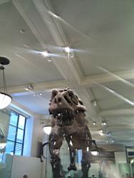 IMG_20120122_143011.jpg