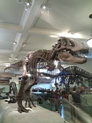IMG_20120122_143053.jpg