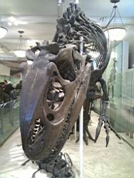 IMG_20120122_143328.jpg