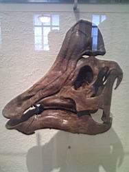 IMG_20120122_143902.jpg