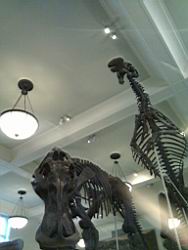 IMG_20120122_144019.jpg
