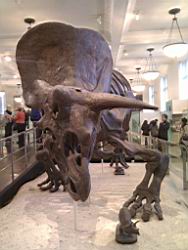 IMG_20120122_144120.jpg
