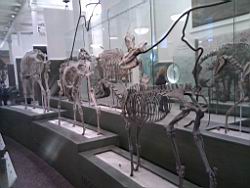 IMG_20120122_145101.jpg