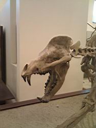 IMG_20120122_145117.jpg