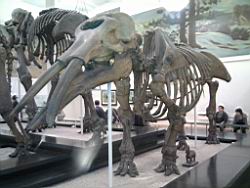 IMG_20120122_145314.jpg