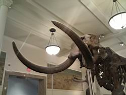 IMG_20120122_145331.jpg