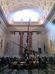 IMG_20120122_150111.jpg