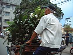 DSCF0055.JPG