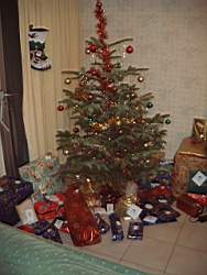 DSCF5338.JPG