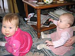 IMG_7593.jpg