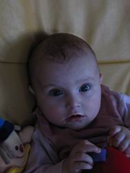 IMG_7624.jpg
