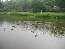 2008.06.08.29.jpg