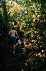 Marc.Langkawi.jpg