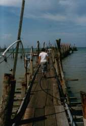 Penang1.jpg