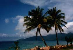 Tioman2.jpg