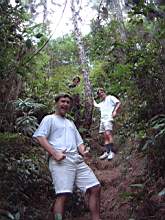 cyril.nath.laurent.jungle.jpg