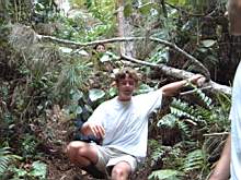 laurent.jungle.jpg