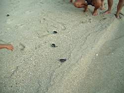DSCF0771.JPG