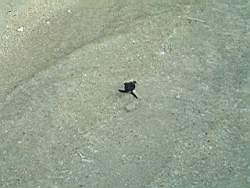 DSCF0772.JPG