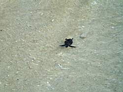 DSCF0773.JPG