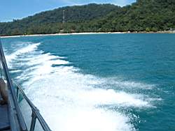 DSCF0780.JPG