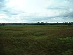 DSCF0785.JPG