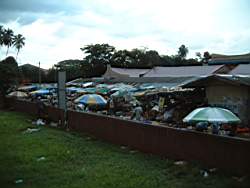DSCF0787.JPG