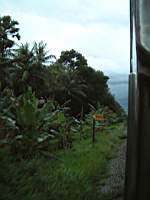 Dscf0784.jpg