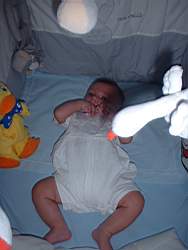 DSCF0306.JPG