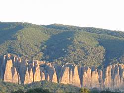 IMG_1951.jpg
