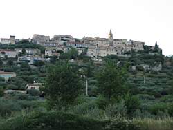 IMG_1953.jpg