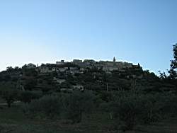 IMG_1955.jpg