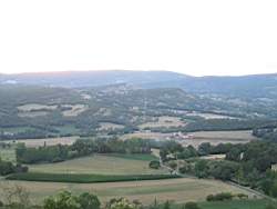 IMG_1960.jpg
