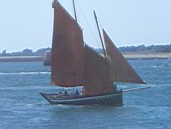 CIMG2529.JPG
