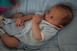 2007.08.06.08.jpg
