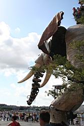2007.08.06.36.jpg