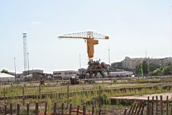 2007.08.06.50.jpg