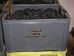 2007.09.08.09.JPG