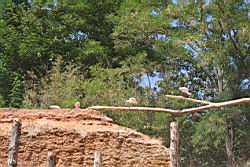2010.08.08.16.jpg