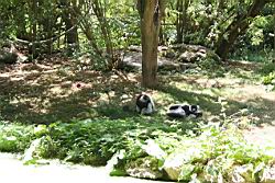 2010.08.08.29.jpg