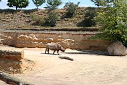 2010.08.08.43.jpg