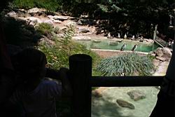 2010.08.08.46.jpg