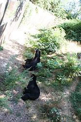 2010.08.08.50.jpg