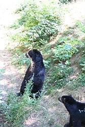 2010.08.08.52.jpg