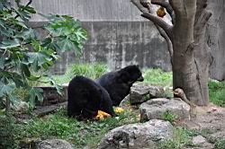 2011.07.10-13.40.JPG