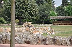 2011.07.10-13.43.JPG