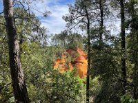 111 - Roussillon - Le sentier de l'ocre