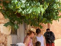 169 - Roussillon
